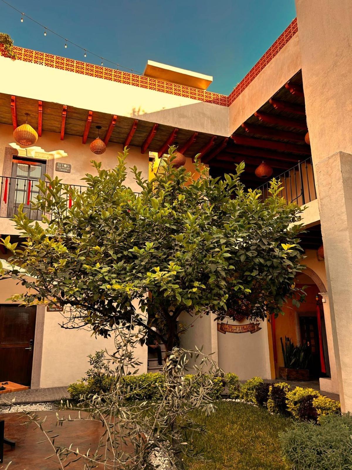 Bito'S Hotel Boutique San Miguel de Allende Exteriör bild